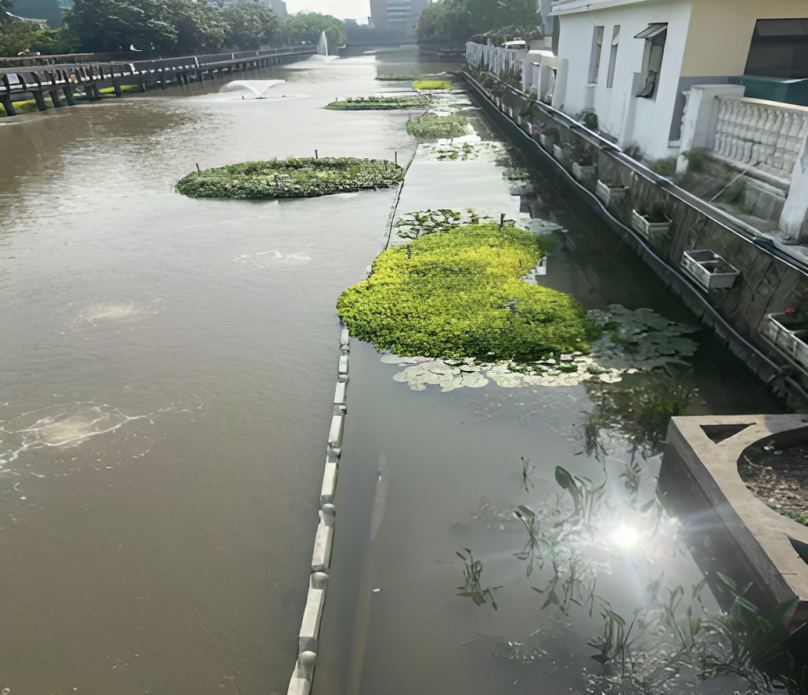 2025澳门开门原料免费